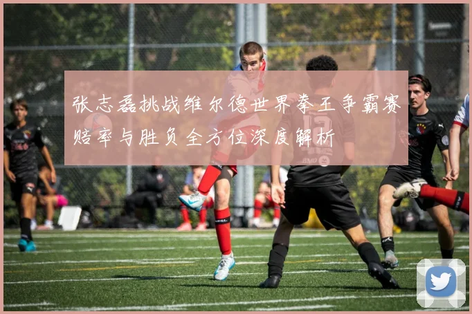张志磊挑战维尔德世界拳王争霸赛赔率与胜负全方位深度解析