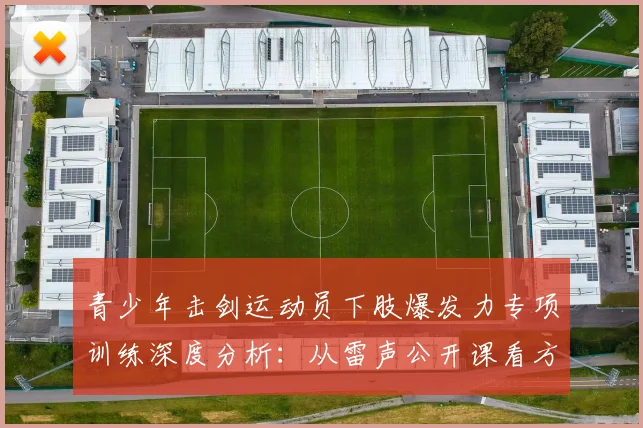 青少年击剑运动员下肢爆发力专项训练深度分析：从雷声公开课看方法体系与实战应用
