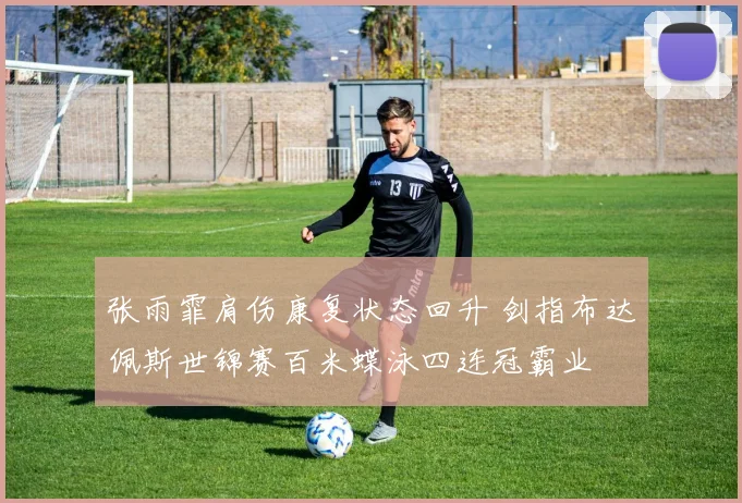 张雨霏肩伤康复状态回升 剑指布达佩斯世锦赛百米蝶泳四连冠霸业